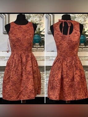 NWT The Limited Sleeveless Dress in Rust Red A-line dress 0